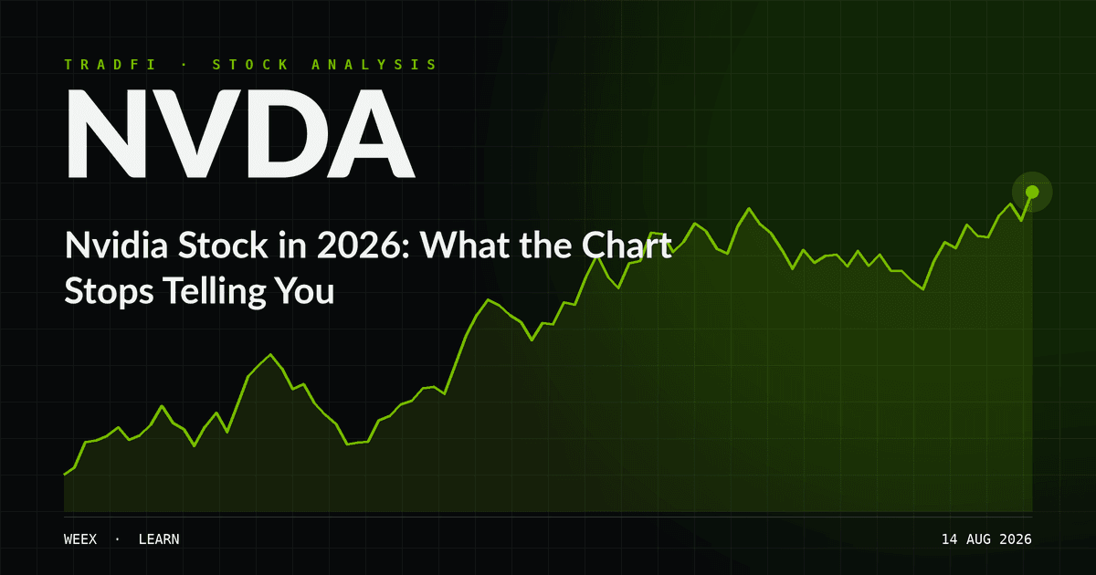 Nvidia 股票每周有 81% 的时间处于休市状态，但你的风险并非如此