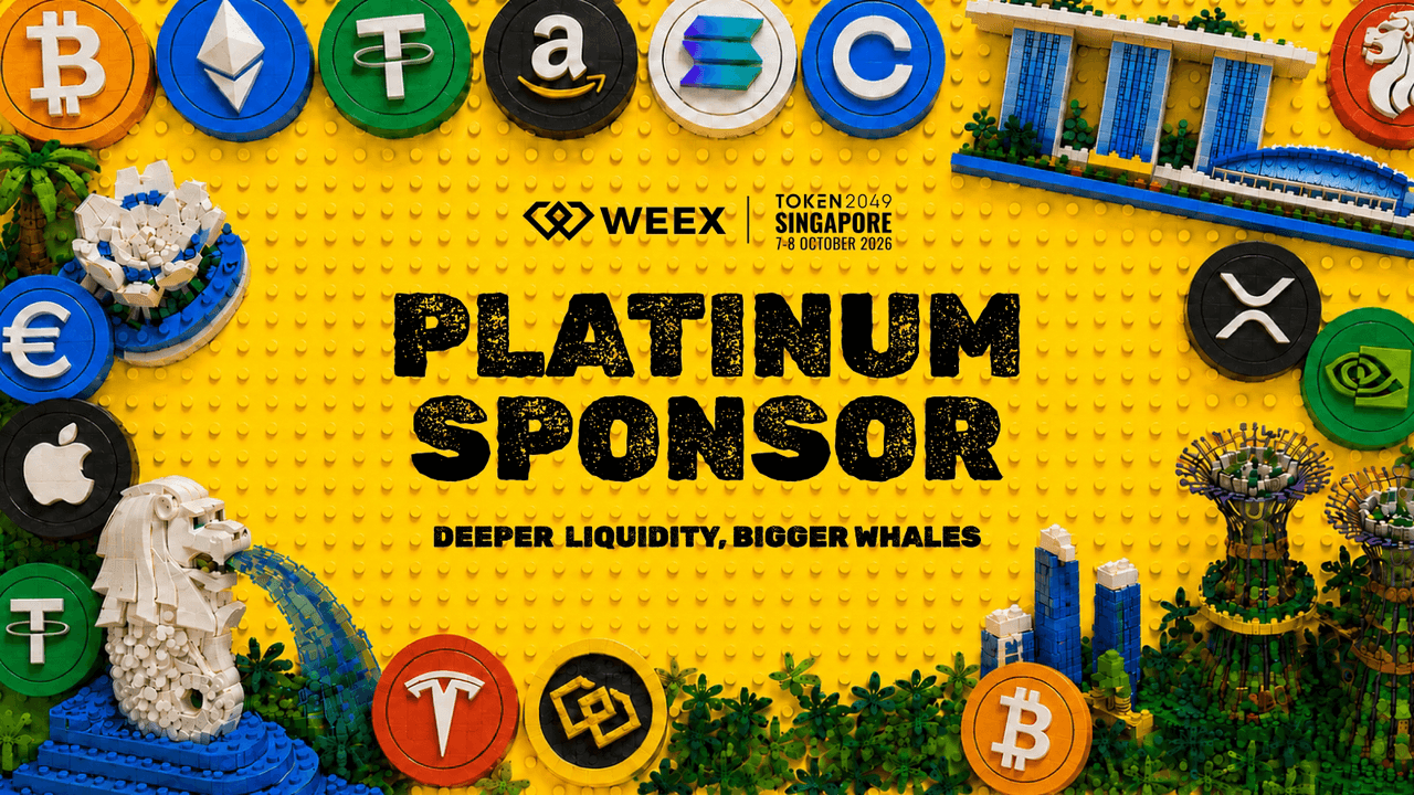 Подарки WEEX TOKEN2049: обзор лимитированного мерча